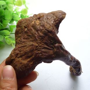  ［鑫喆］长白山野生灵芝13克 正品野生 185号