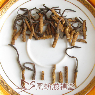  【凰朝】青海玉树冬虫夏草 特干虫草礼盒 断草 正品