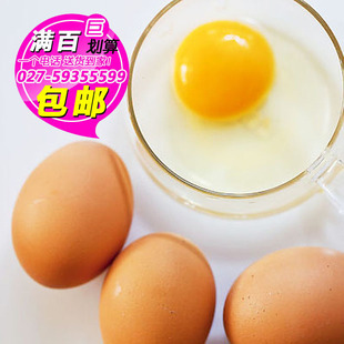 特价8枚乐烹普通红皮鸡蛋 限购5份 武汉满百包邮满200送5元代金券