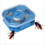 taobao english 13621012274