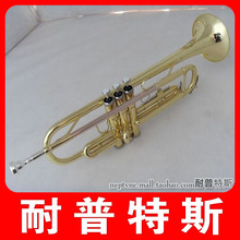 【NEPTUNE/耐普特斯】降B调三音小号 磷铜管 NTR-8135SD 包邮
