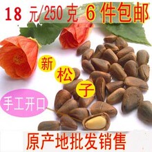 新货 东北开口红松子/野生/开口松子/原味/5件包邮/送礼品