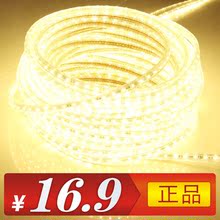 爱德朗 LED 灯带 贴片 3528 高亮霓虹灯带灯条吊顶灯饰 正品特价