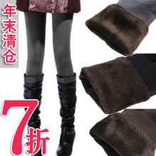 抗起球 冬季打底裤秋冬款 加绒打底裤加厚女保暖裤子 韩版潮 显瘦