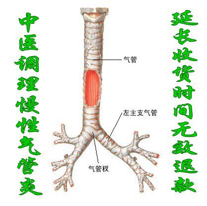 天然调理 慢性支气管炎 气管炎 咳嗽 咯痰 气喘 无效退款