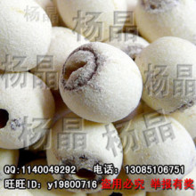 11���������(��оҰ���ؼ�)����500g �ɻ� ����ز�