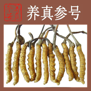  同仁堂级别礼盒虫草--精选无接草断草-西藏那曲冬虫夏草,1克3条