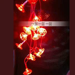  一馨 新年红色LED玫瑰灯3米 圣诞灯串 灯饰 节日喜庆彩灯