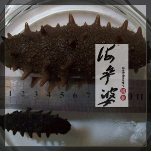  辽刺参，A级大连无盐淡干海参70头，自家深水放养，参龄长，50g