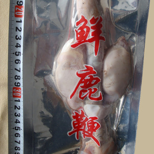  【大佳禾】 鲜鹿鞭 梅花鹿鹿鞭 正品 鹿鞭 500元/根 全国批发