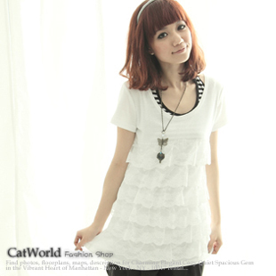 �ļ����������ٽz�A�I�����ֻ���̨��ݣ�Catworld