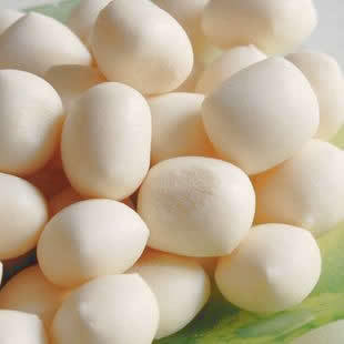  新奶馒头精美装 牛奶泡泡 宝宝最益 100克蒙古草原情奶泡