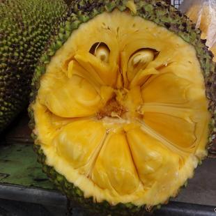  新鲜水果 泰国菠萝蜜 菠萝木菠萝 香甜脆爽 包大肉厚 超级好吃