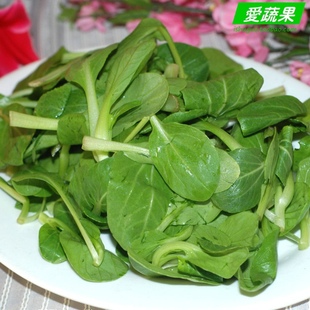  【爱蔬果】绿色食品新鲜蔬菜 鸡毛菜 青菜 150g 北京买菜当天送