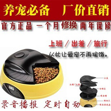 销量冠军 宠物自动喂食器 狗狗猫 定时喂食器 宠物喂食器 喂食机
