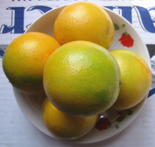  新鲜水果 云南玉溪冰糖橙  甜橙 口感媲美云冠橙