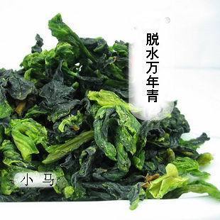  新货 无公害-天然绿色脱水蔬菜万年青、青菜干、嫩菜芯