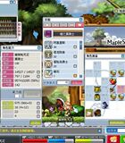 5钻特惠★已绑直接替换★ 冒险岛 光之大陆 黄水晶 195女黑满勇士