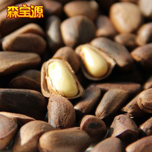  新货 森宝源 东北野生开口松子 500g 有机红松子 买二包邮