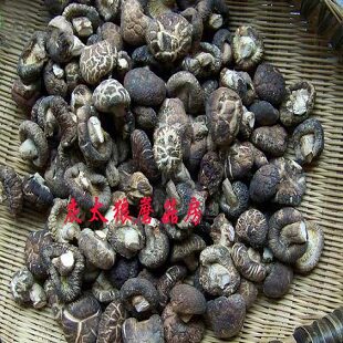最新货 庆元香菇干货 小香菇 小花菇 金钱菇 剪根 肉嫩味香 250g