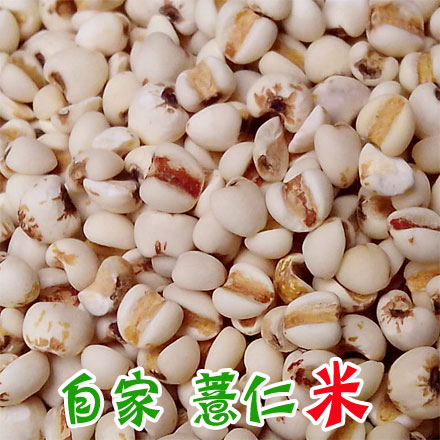 天然薏仁米500g 农家特产优质香糯小薏米 颗粒饱满 养身粗粮在类目 粮油米面/南北干货/调味品, 米/面粉/杂粮, 米类, 薏米中 - 来自Buy2taobao.com提供专业的淘宝代购服务