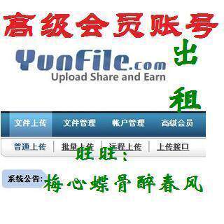 【在线发货】高速 yunfile高级账号租用 0.4元/天 包24小时