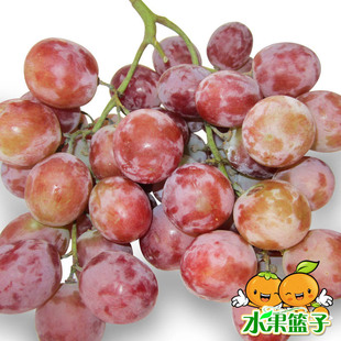  水果篮子新鲜水果进口美国红提 提子 葡萄 1斤 满5斤江浙沪皖包邮