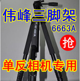 taobao english 10263183294