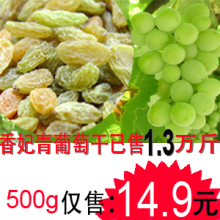 新疆 特级香妃青葡萄干特大批发 500g 特价 五包包邮热销1.5万斤