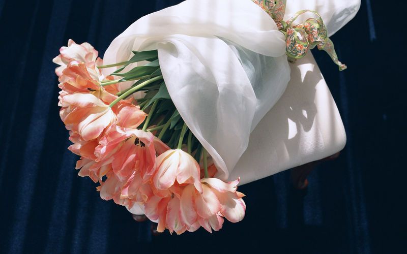 20 Pink tulips Bride holding flowers/Bethel Xiamen Flower shop Xiamen flowerin the Flower delivery/Flowers simulation/Plants gardening , Wedding flower arrangement , Bride holding flowers category - from Buy2taobao.com to provide professional Taobao agent buy service