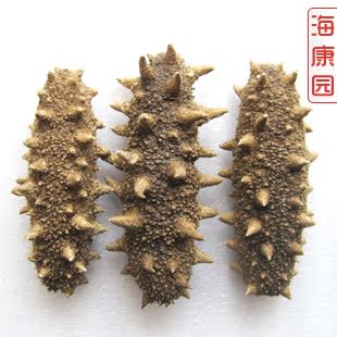 海康园 冻干海参 即食海参 大连刺参干货1.5-2克/只 送瓶子 按克