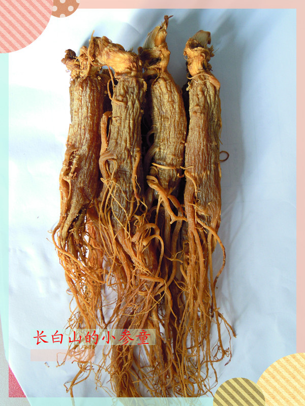 Red ginseng Red ginseng with scallop Sugar-free Red Ginseng Changbai Mountain red ginseng ginseng 50 gramin the Traditional nourishing food , Ginseng tonic , Ginseng/Garden ginseng category - from Buy2taobao.com to provide professional Taobao agent buy service