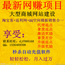网赚项目 商城网站建设 淘宝客+返利网+发展代理 秒杀充值软件