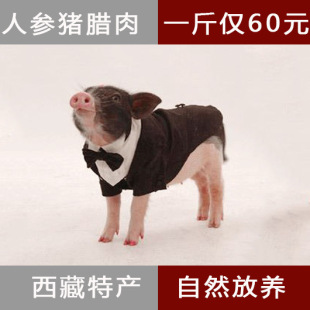  【年货大集】边疆的家藏香猪 三线腊肉 烟熏肉 人参猪肉 年货食品