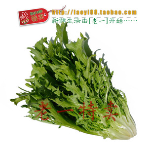  老一特卖 新鲜 苦菊 苦叶 高档蔬菜500克8.8元