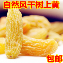 5冠新疆特产 特级树上黄新疆葡萄干500g 特价包邮pk绿香妃