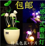 taobao english 12393938549