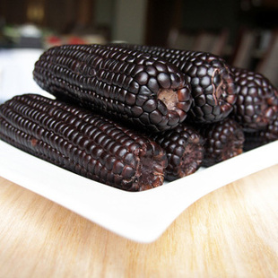  丰园山庄 新鲜黑糯玉米 鲜维特最新上市 18根超值装 包邮