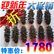 45头獐子岛烟台野生海参无盐淡干刺参批发晓芹泡发大肉厚原价3000