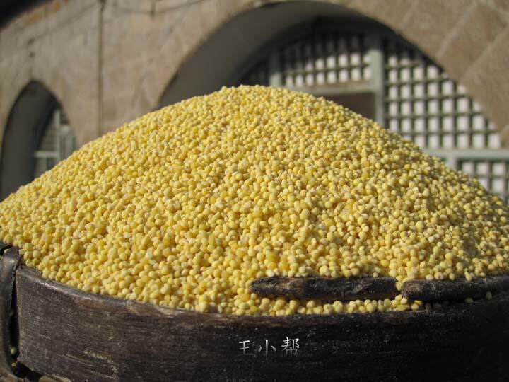 大黄米-也叫糯小米-糯米  我们村子里的