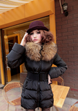taobao english 15686004205
