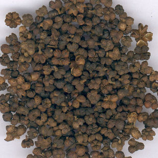 植物原药材-中药材吴茱萸 吴萸 左力 吴芋 散寒