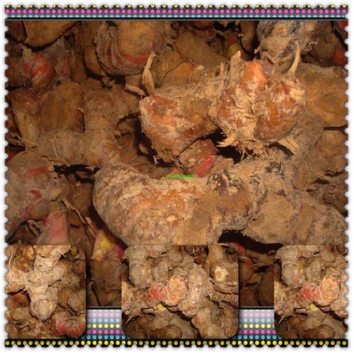 南姜潮州姜 潮汕卤水配料海鲜类调味品佐料 潮汕特产地方特色在类目 水产肉类/新鲜蔬果/熟食, 新鲜蔬菜/蔬菜制品, 生姜中 - 来自Buy2taobao.com提供专业的淘宝代购服务
