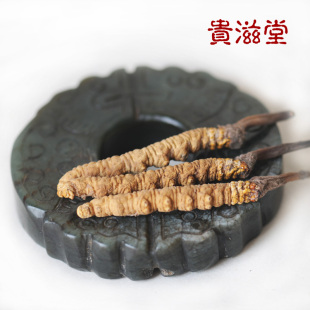  【贵滋堂】 西藏那曲冬虫夏草 虫草3条1克 包邮