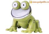 ����4D���ֳ���-���� Hip Hop Pet ��ͨ����