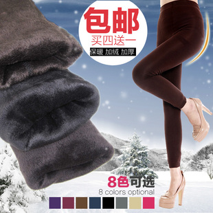  秋冬季新款显瘦女士打底裤女加厚加绒九分拉绒大码韩版潮包邮