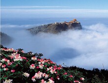 峨眉山/峨眉山旅游/乐山大佛纯玩二日游(送彝家晚会和乌木)/成都