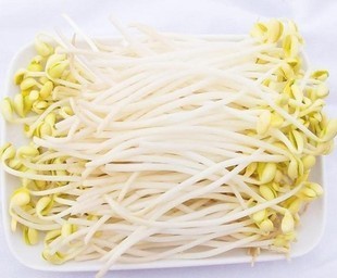  绿光味影 黄豆芽 有机生态农场直销 绝无激素 农药 非转基因大豆