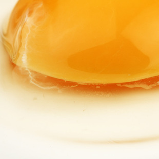  【九元购独享】农家散养 土鸡蛋 柴鸡蛋 草鸡蛋 破一赔一 10枚蛋