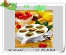 原价45法式精品蜗牛/白玉蜗牛/法式蜗牛/18粒精品装 西餐厅必备